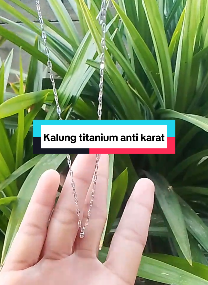 @miss hihi~id🪭