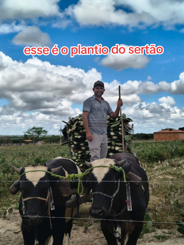 @jocriador