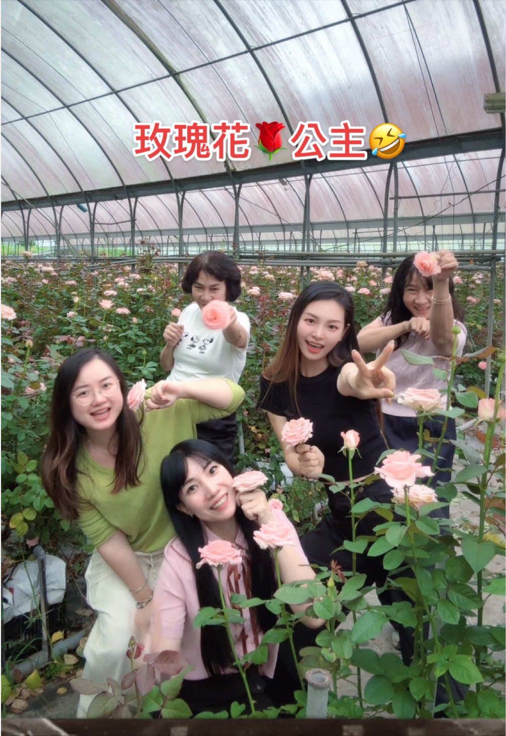 @@熹姐姐