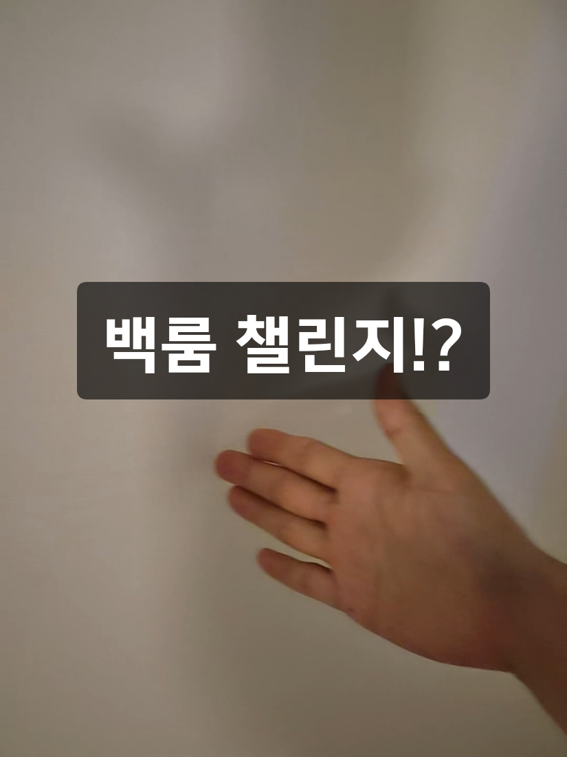 @틱톡맨