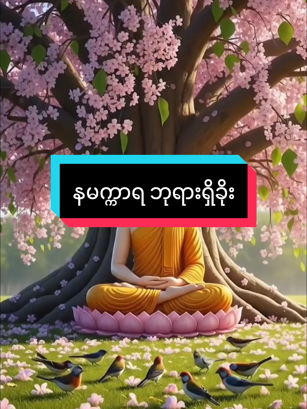 @DHAMMA