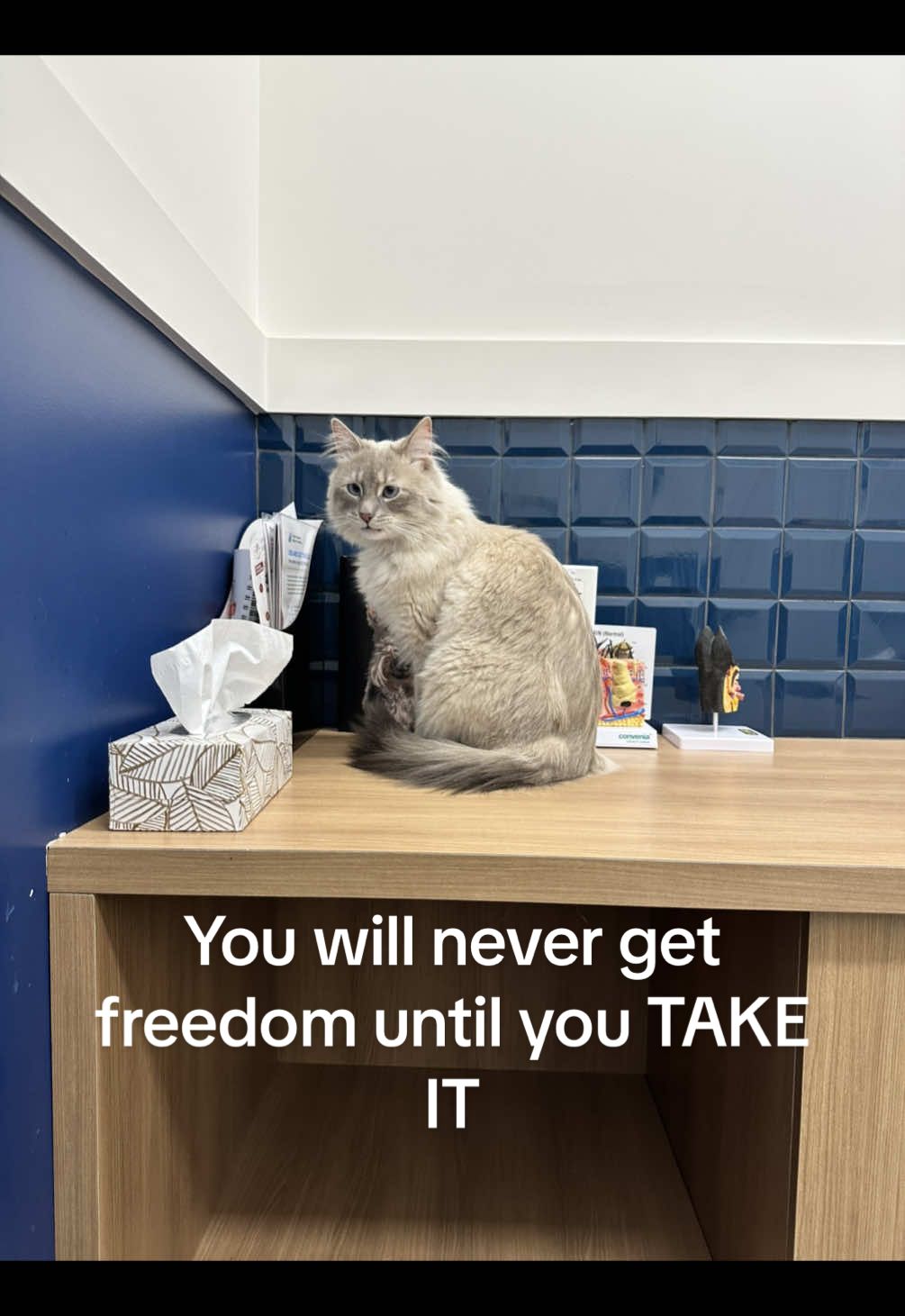 @Naomi Sonokpon