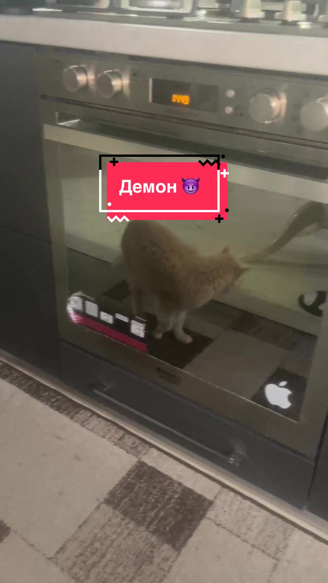 @Жилбил28