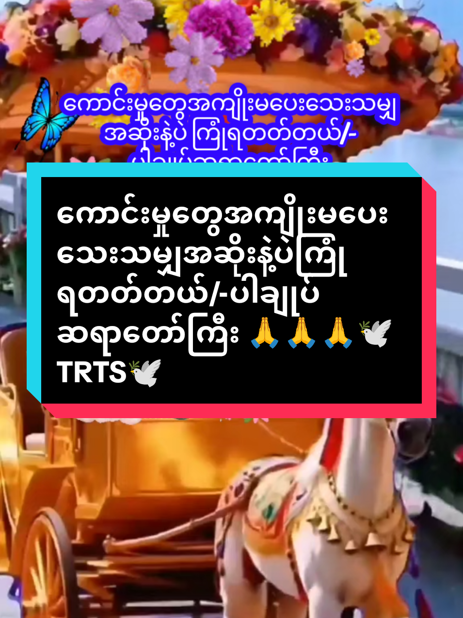 @๐ฟ๐๐๐๐ ๐ฟ๐๐๐๐ ๐พ๐๐