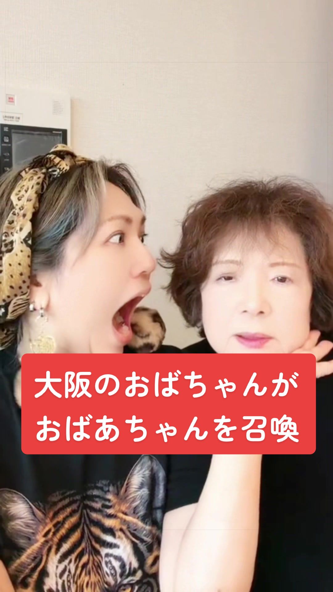 @おくちゃん(大阪BBA)