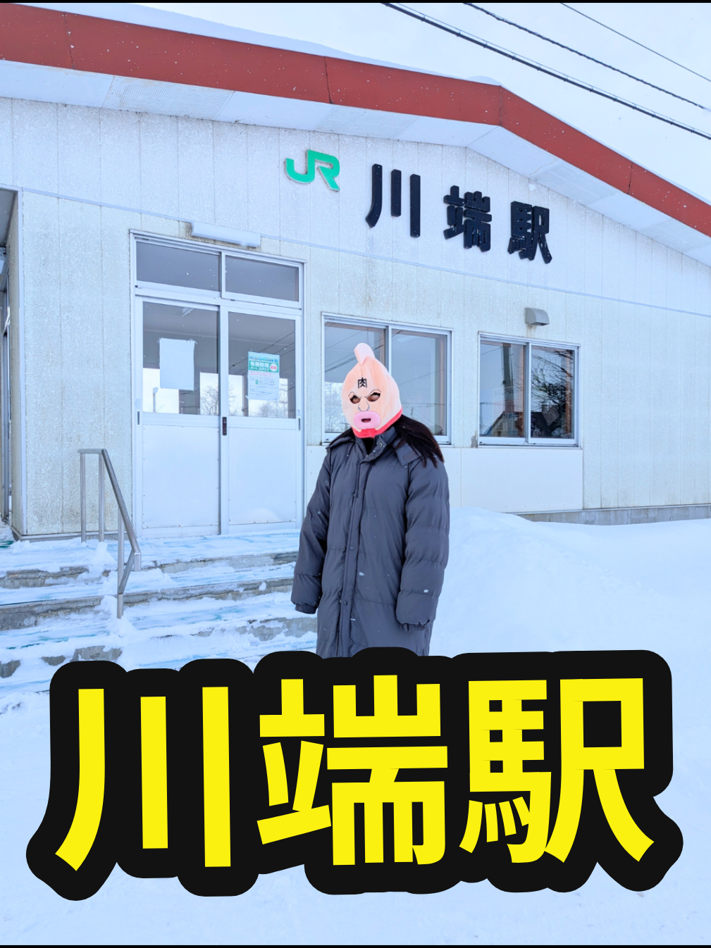 @U^ェ^U 小樽市に住む犬『まかろん』の飼い主
