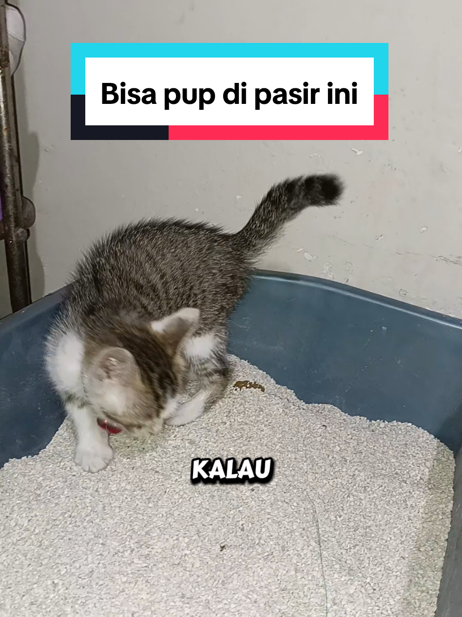@Fend