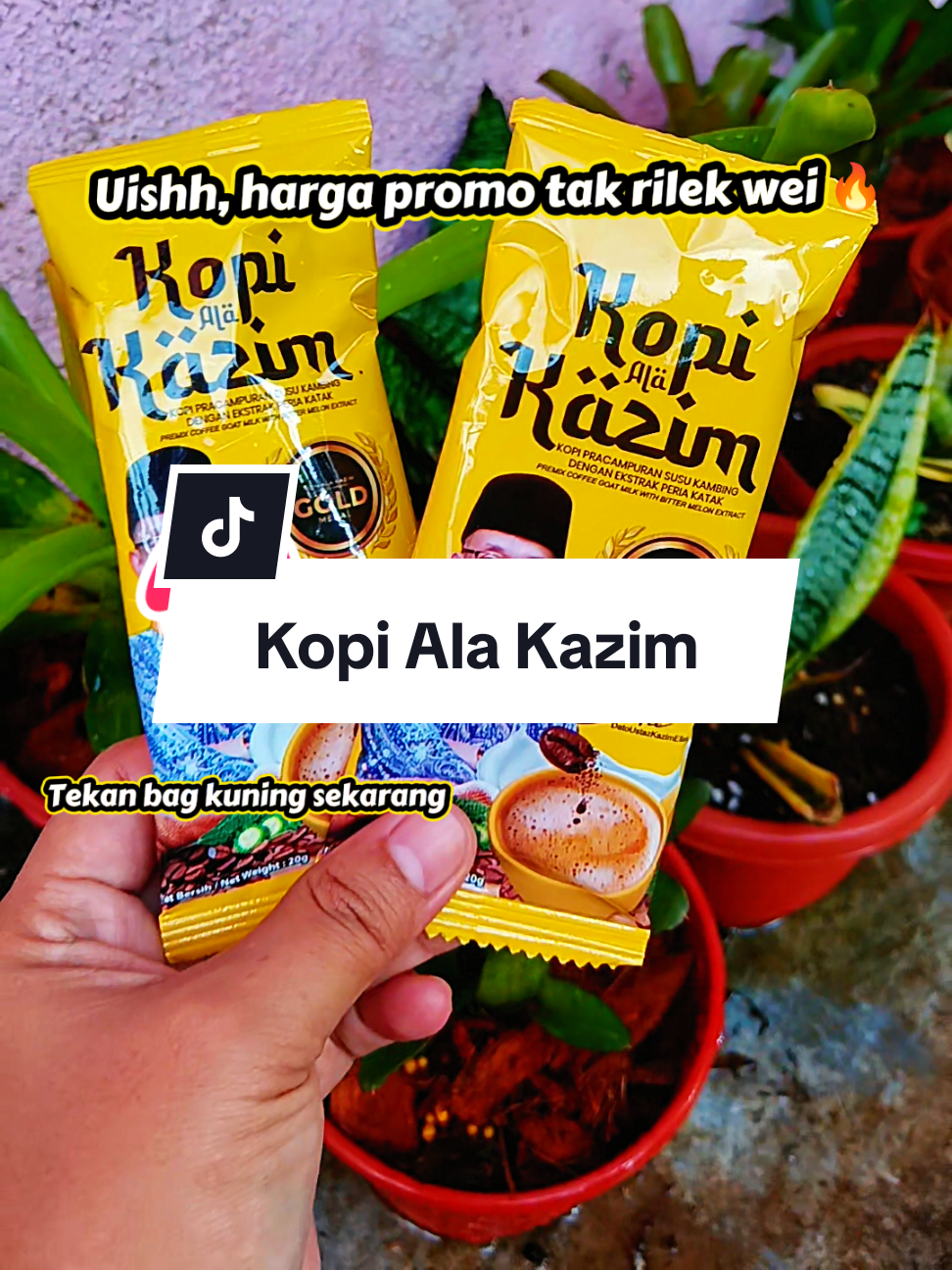 @Aini Lani