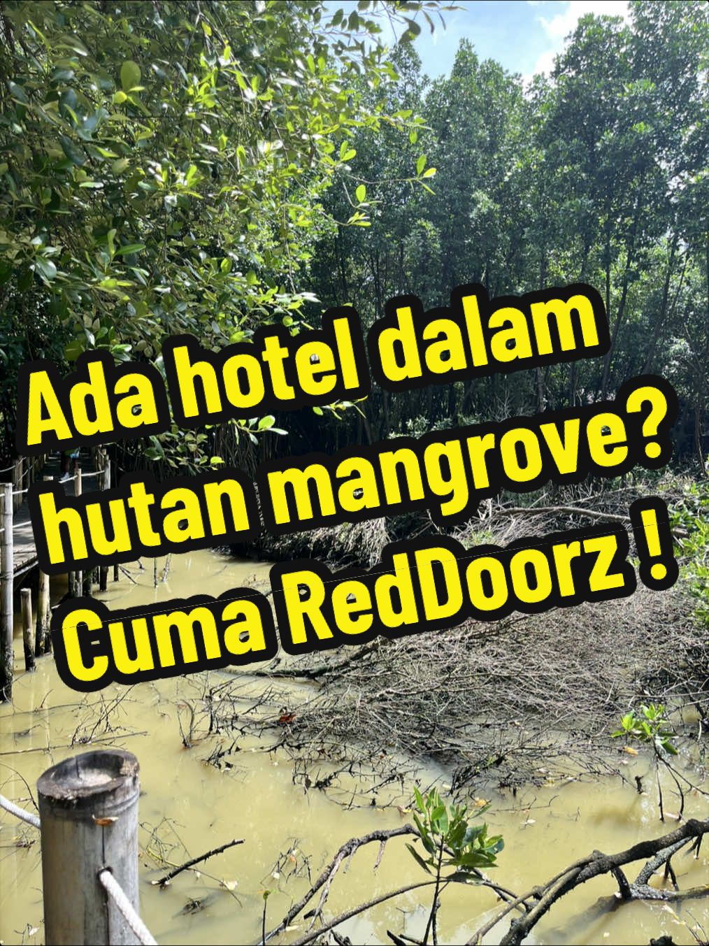 @Ditabilang