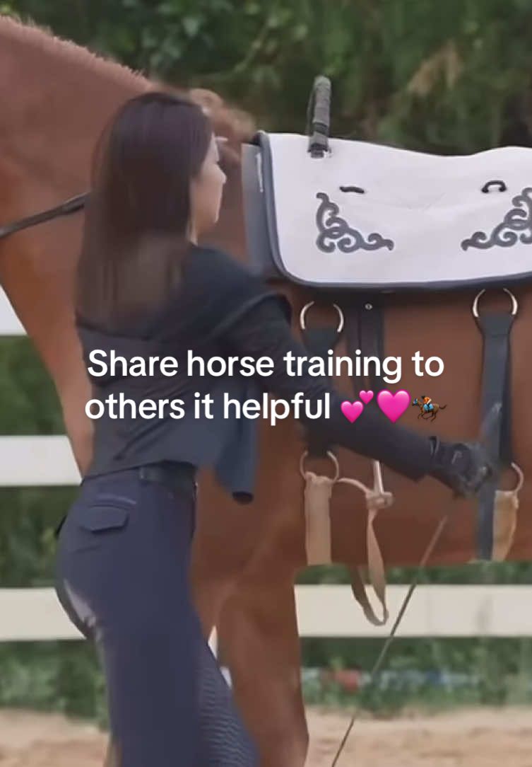 @PERFECT HORSES FOR ADOPTION