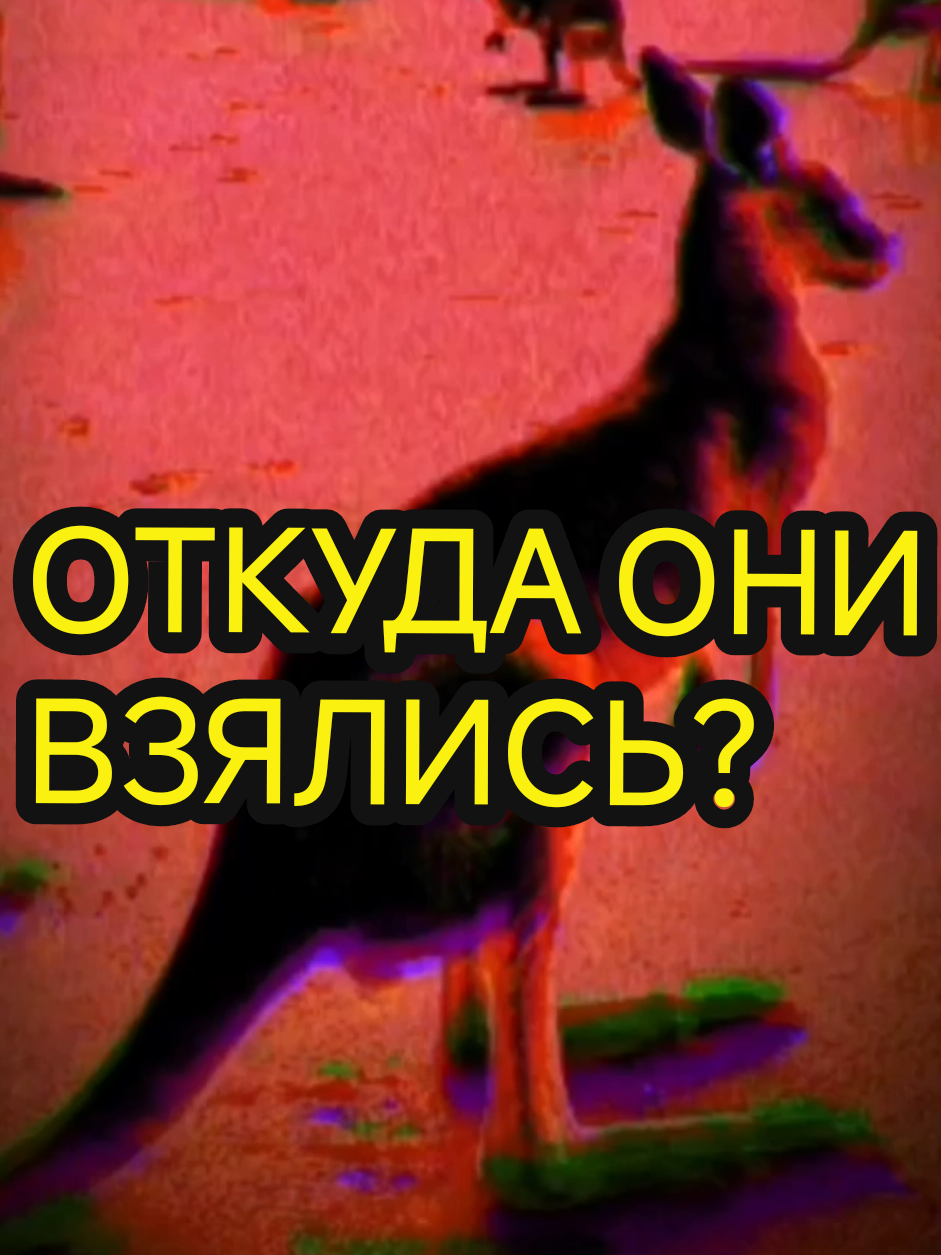 @glaube nicht (не верю)