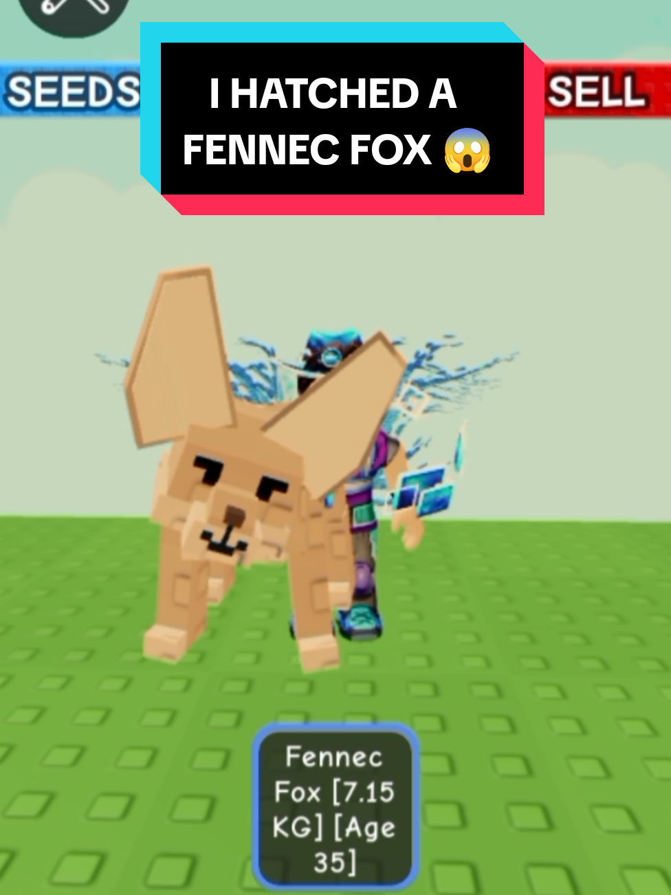 @𝓚𝓲𝓷𝓰