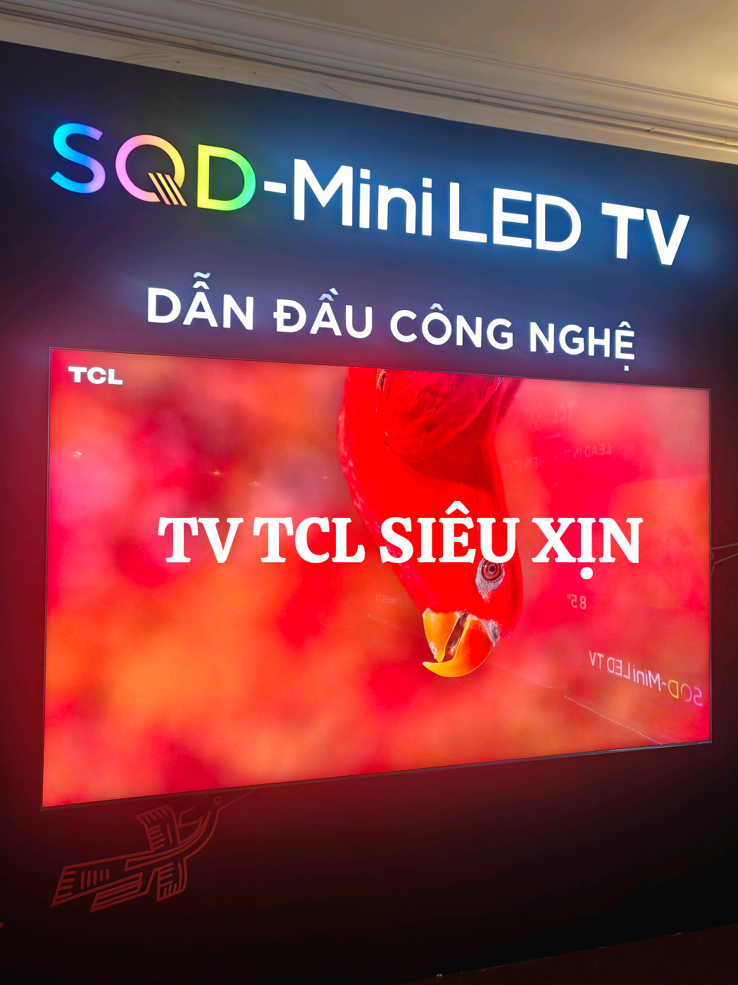 @Trọng Lee