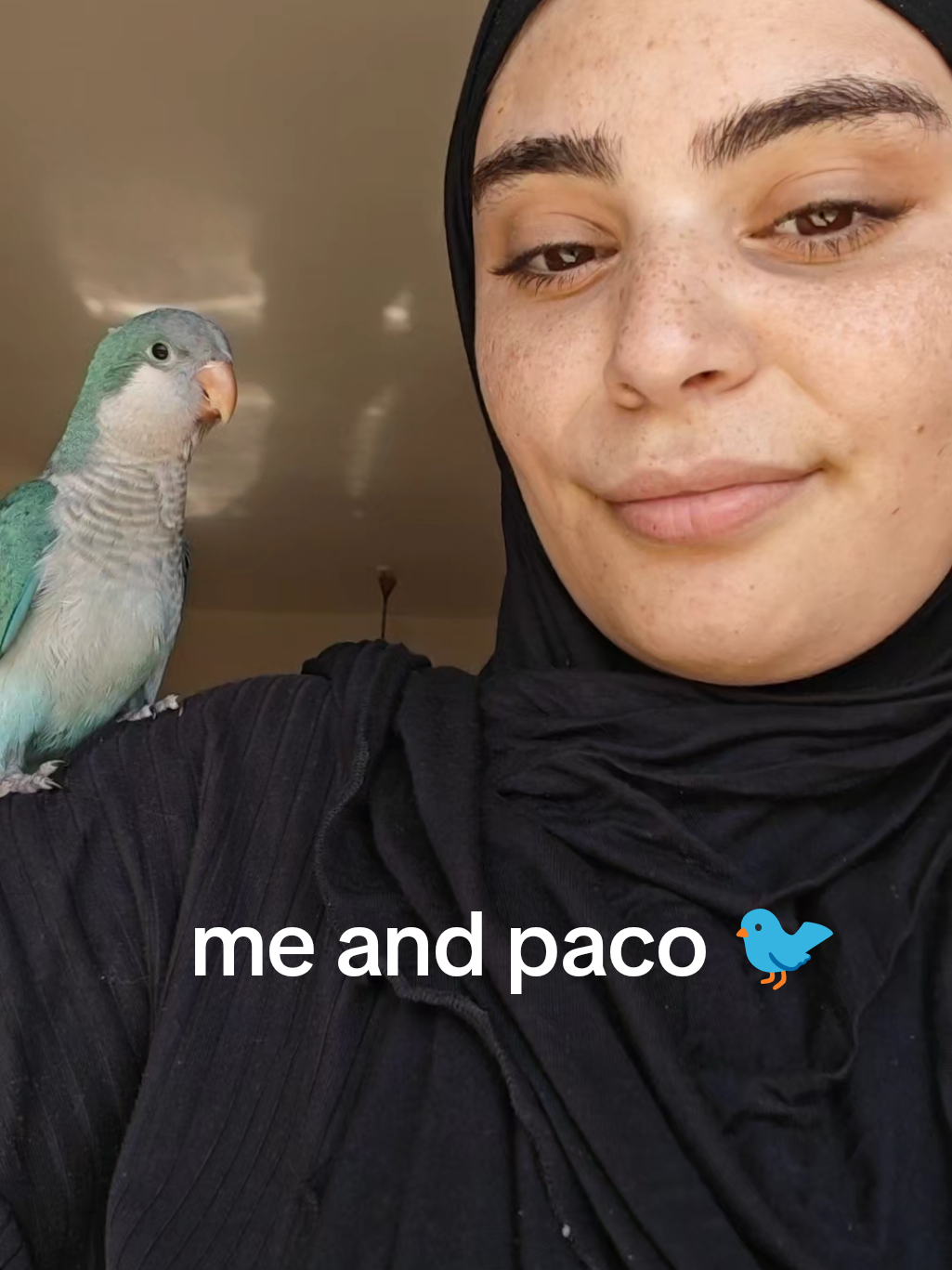 @Chazahob