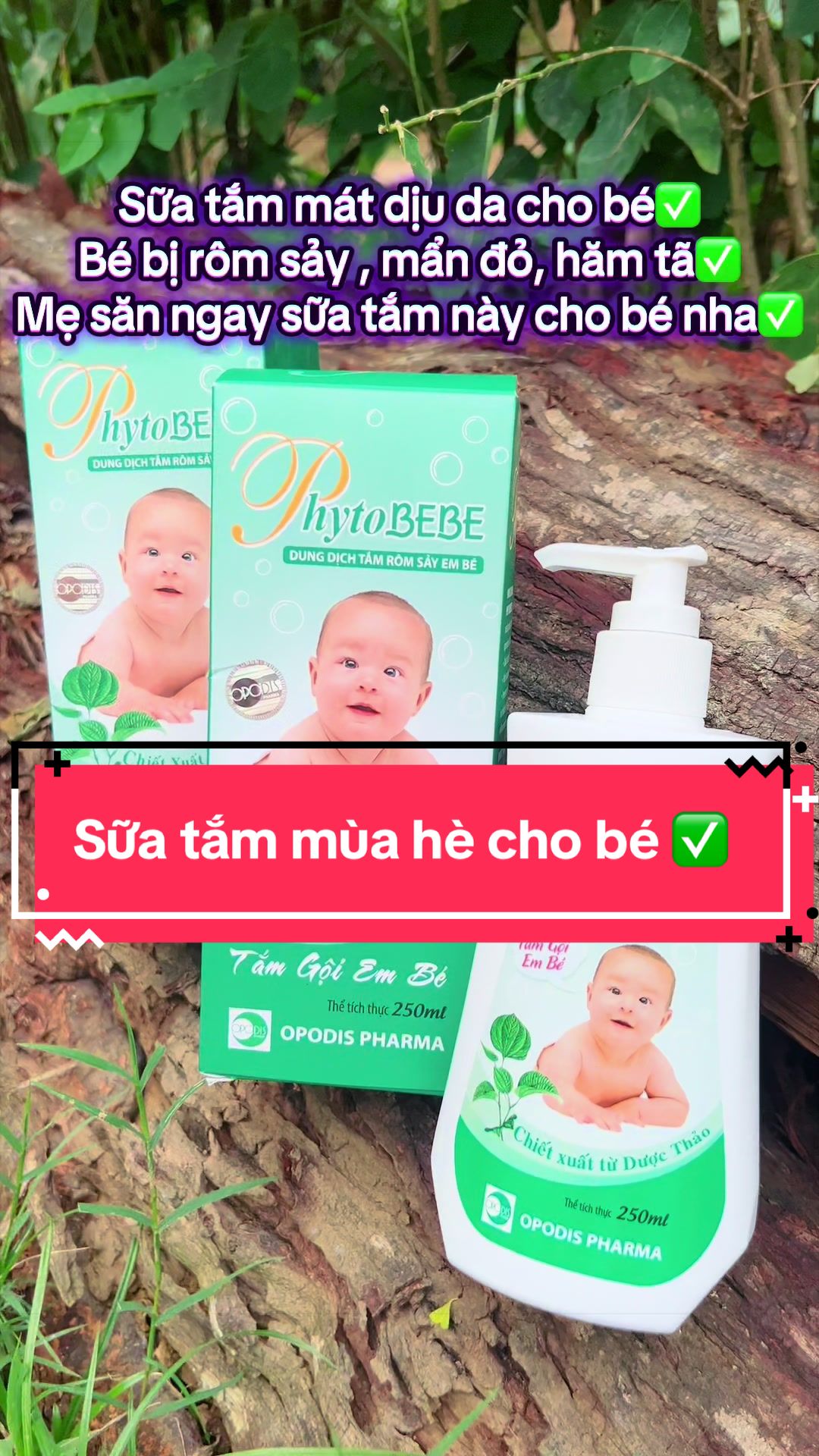 @Dâu Vùng Cao