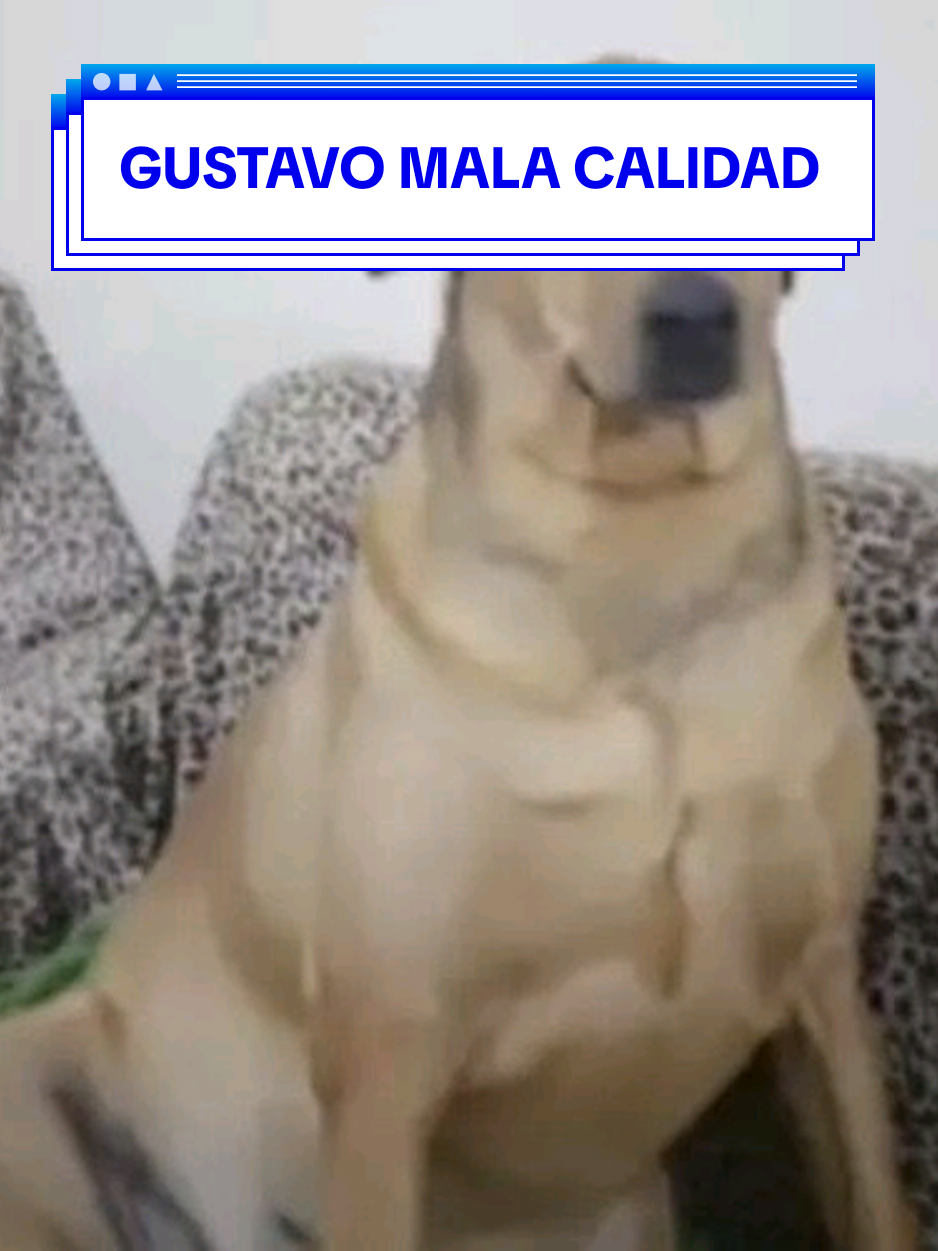 @gustavo