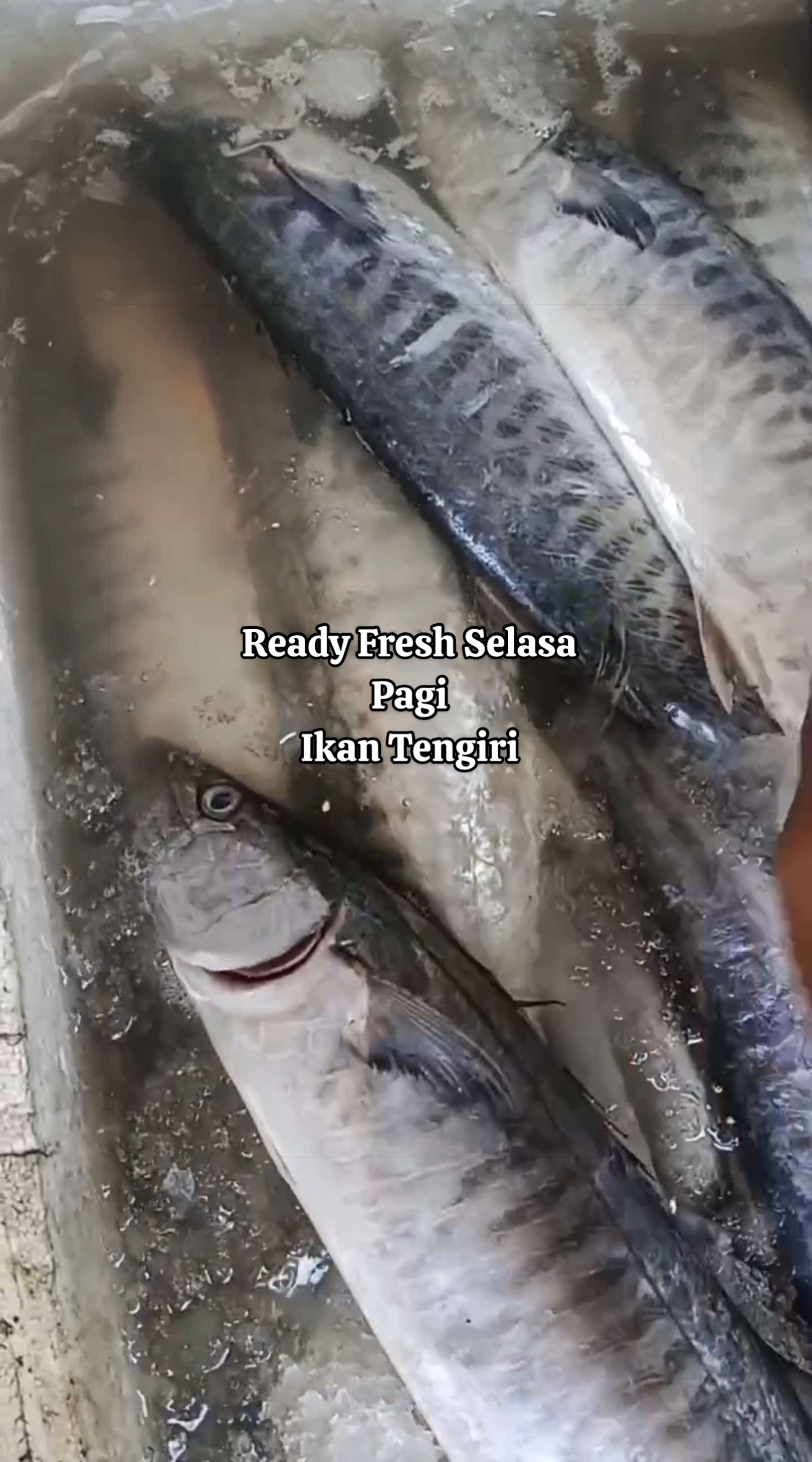 @pesekseafood