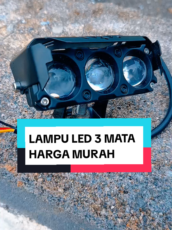 @yunfa lovers