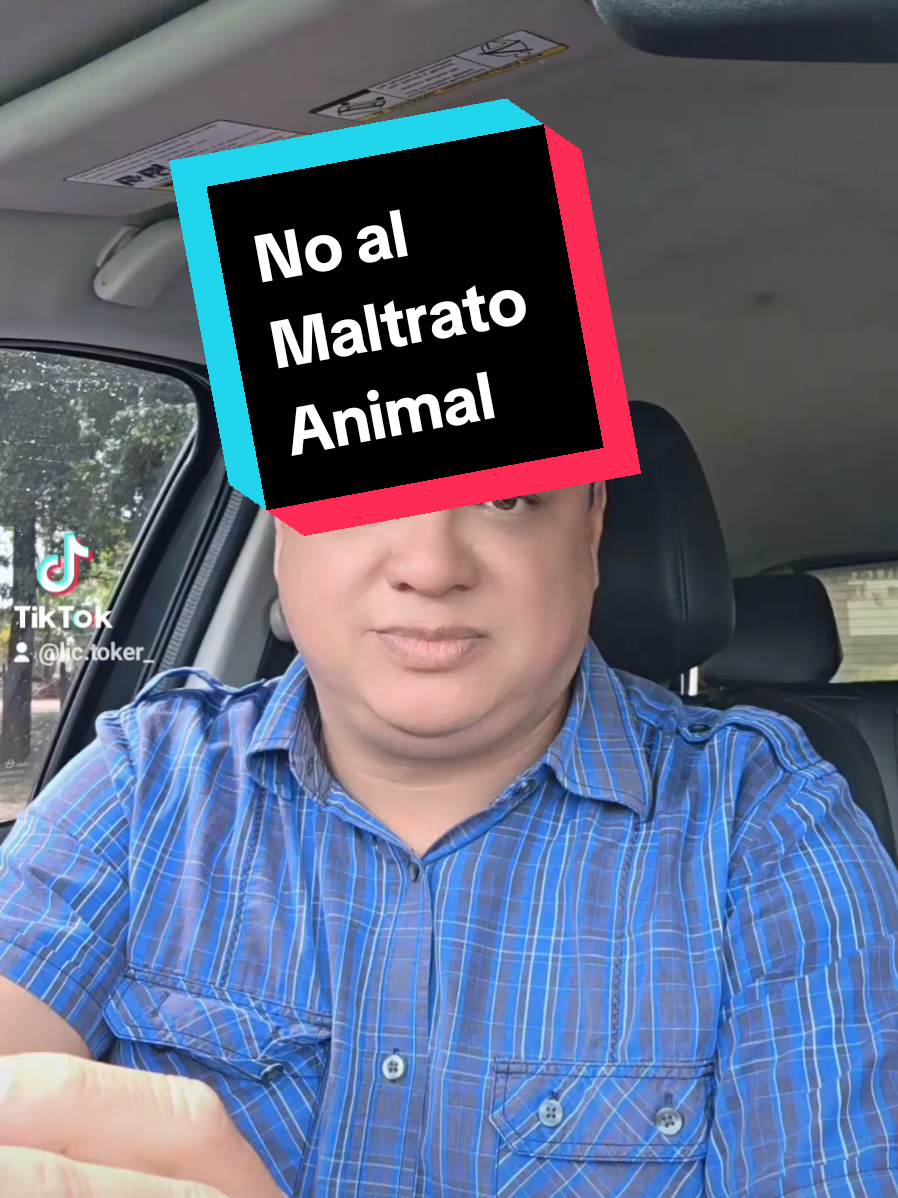 @El Lic. Toker