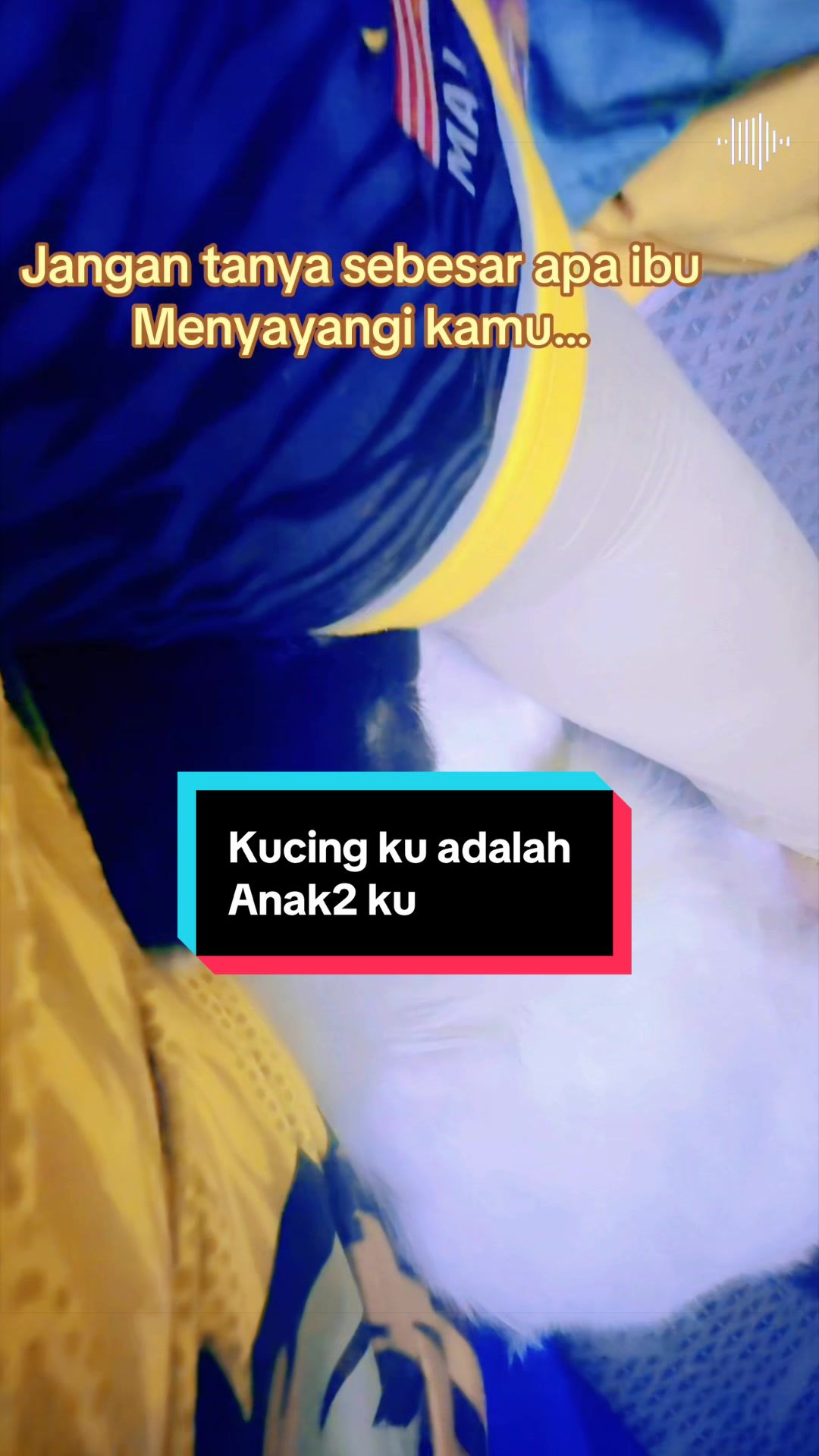 @moyong 😎😎😎