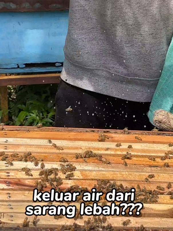 @maduclb🍯