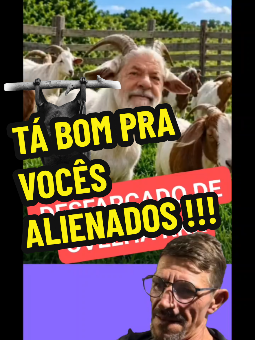 @ozeas alves 782