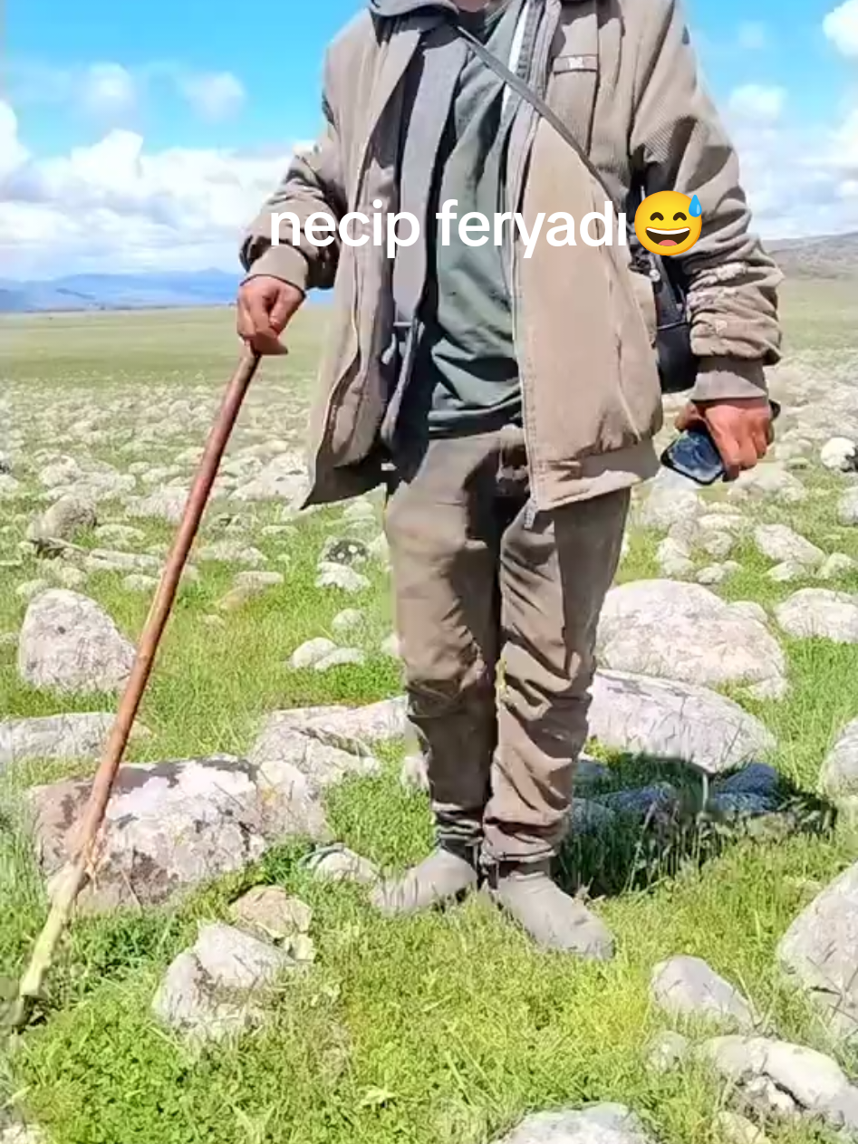 @𝑀𝑒𝓂𝑜_𝒢_𝑅_𝐵_𝒵_