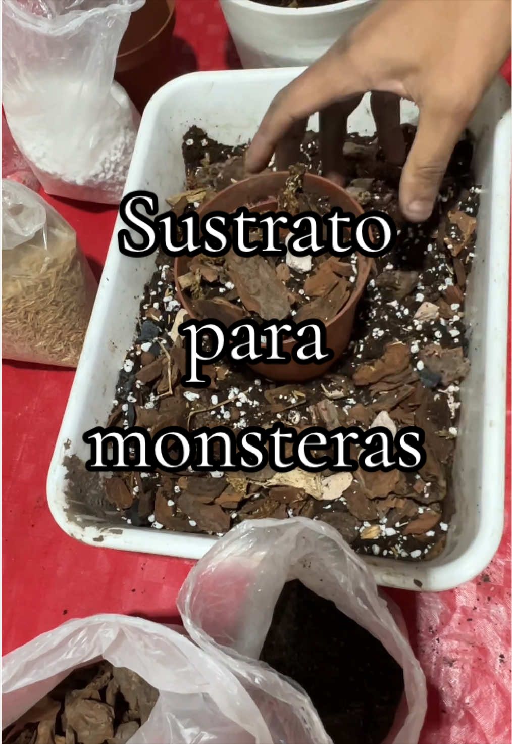 @cultivandoando