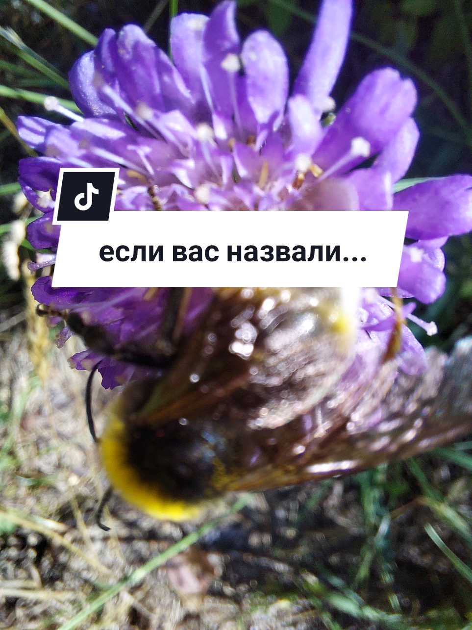 @Рыся✔️🇧🇾