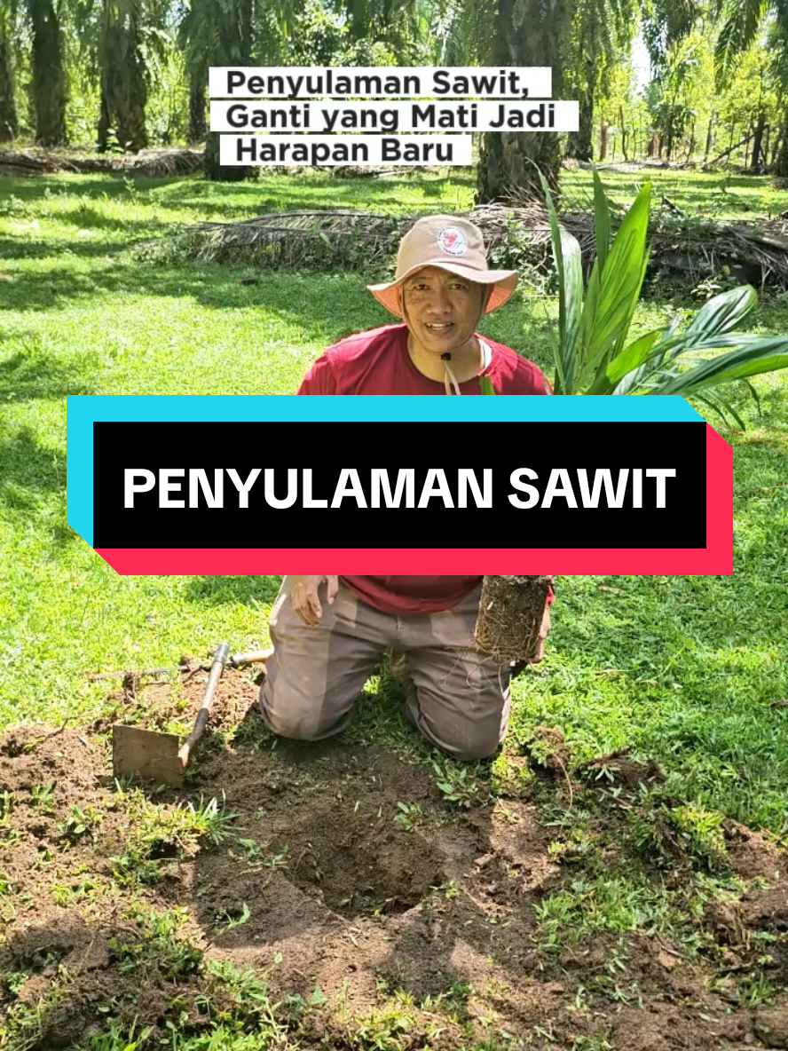 @Mr JARNAWI