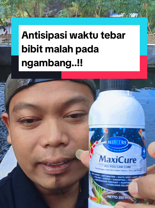 @Kang_Ewi