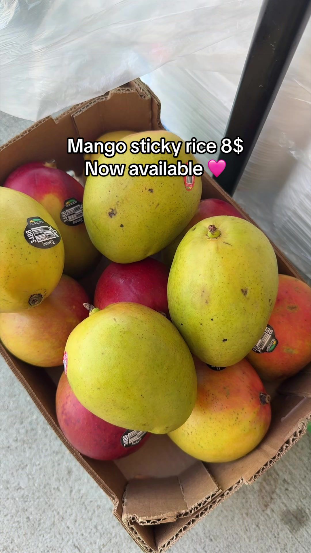 @Mangoland