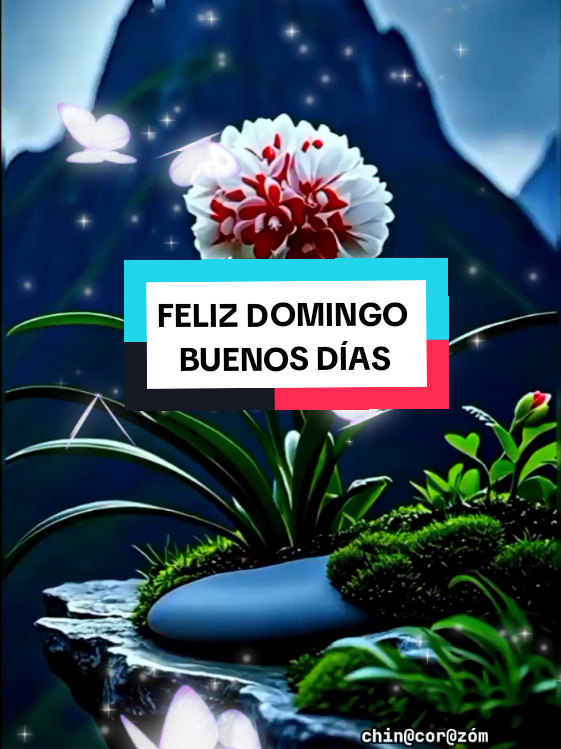 @chin@❤