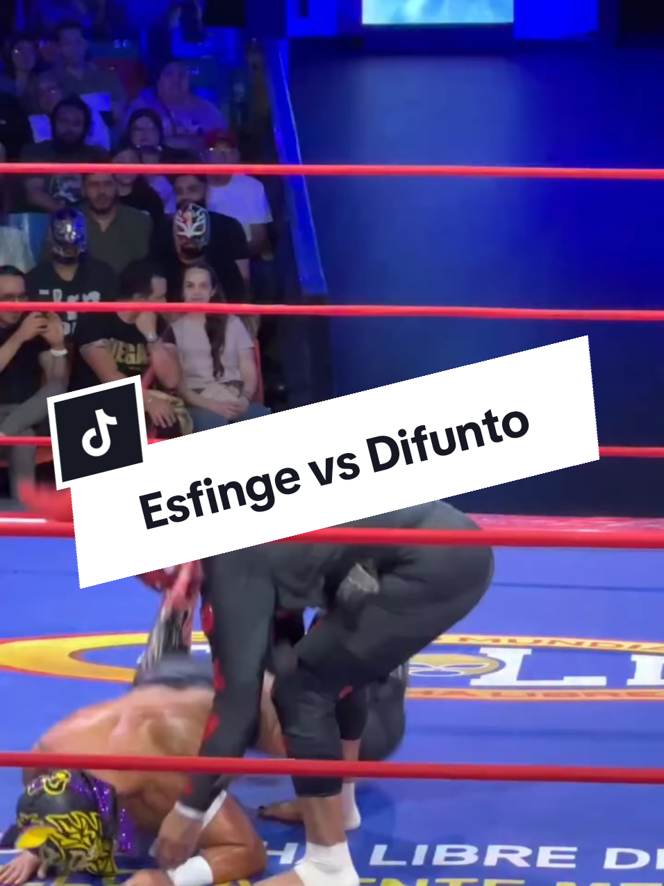 @Damas&Gladiadores Lucha Libre