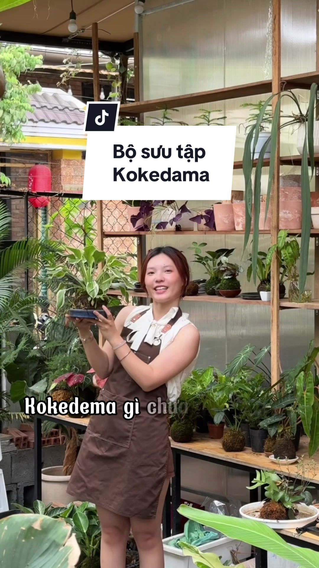 @Vuoncuakien