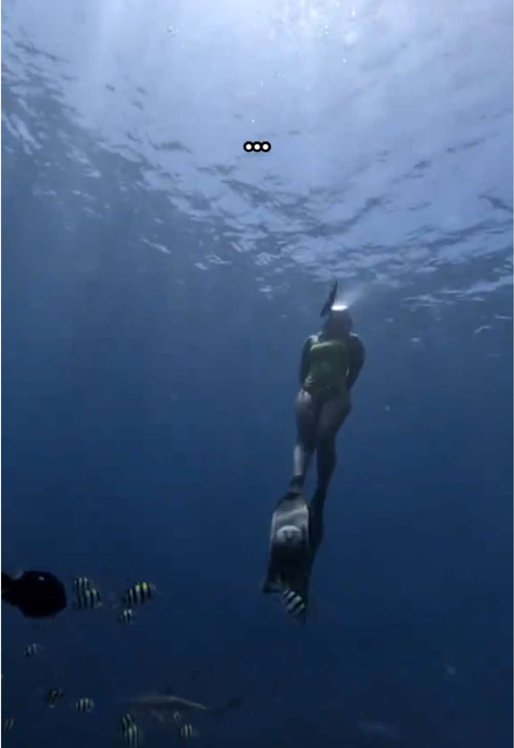 @Yuki | Diving & Traveling