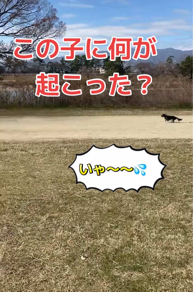 @もっさん