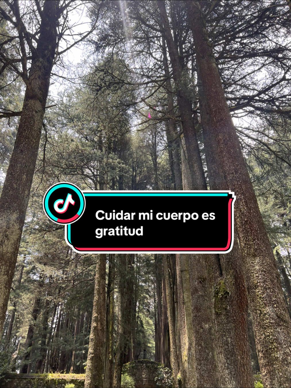 @Hechos para Amar