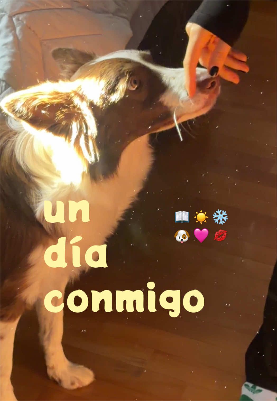@cata_barbuto