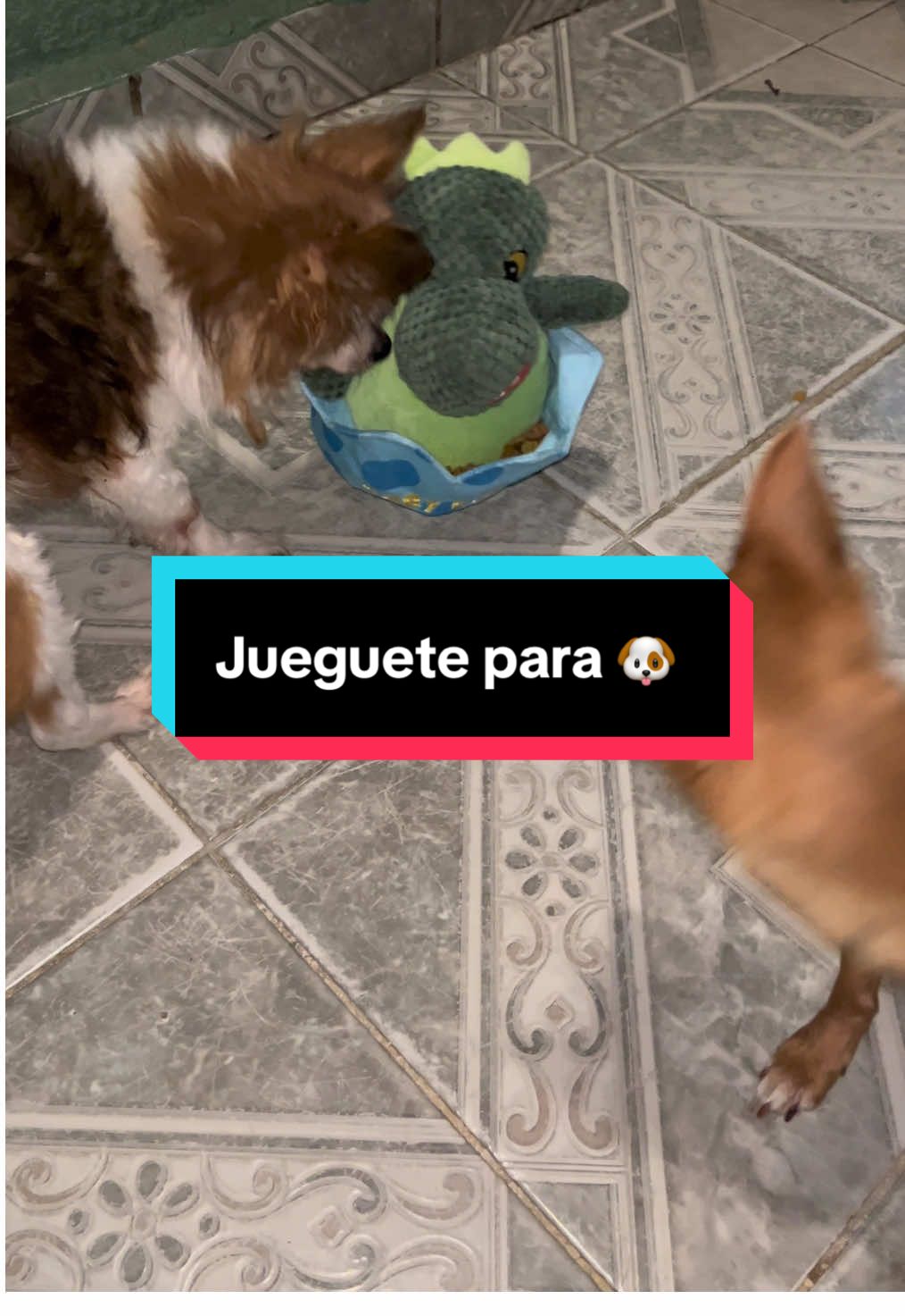 @Alan Vázquez