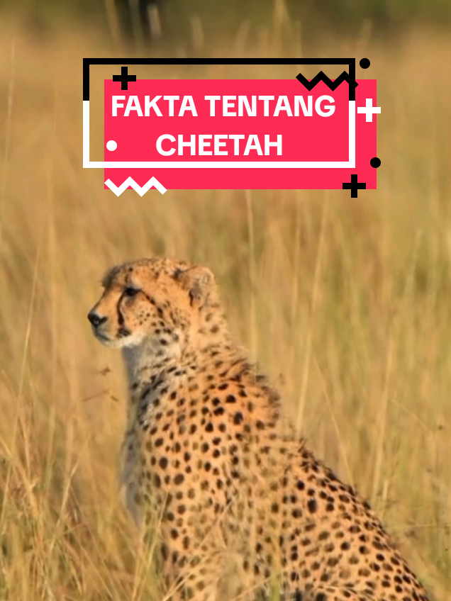 @NUNA TEMPLATE