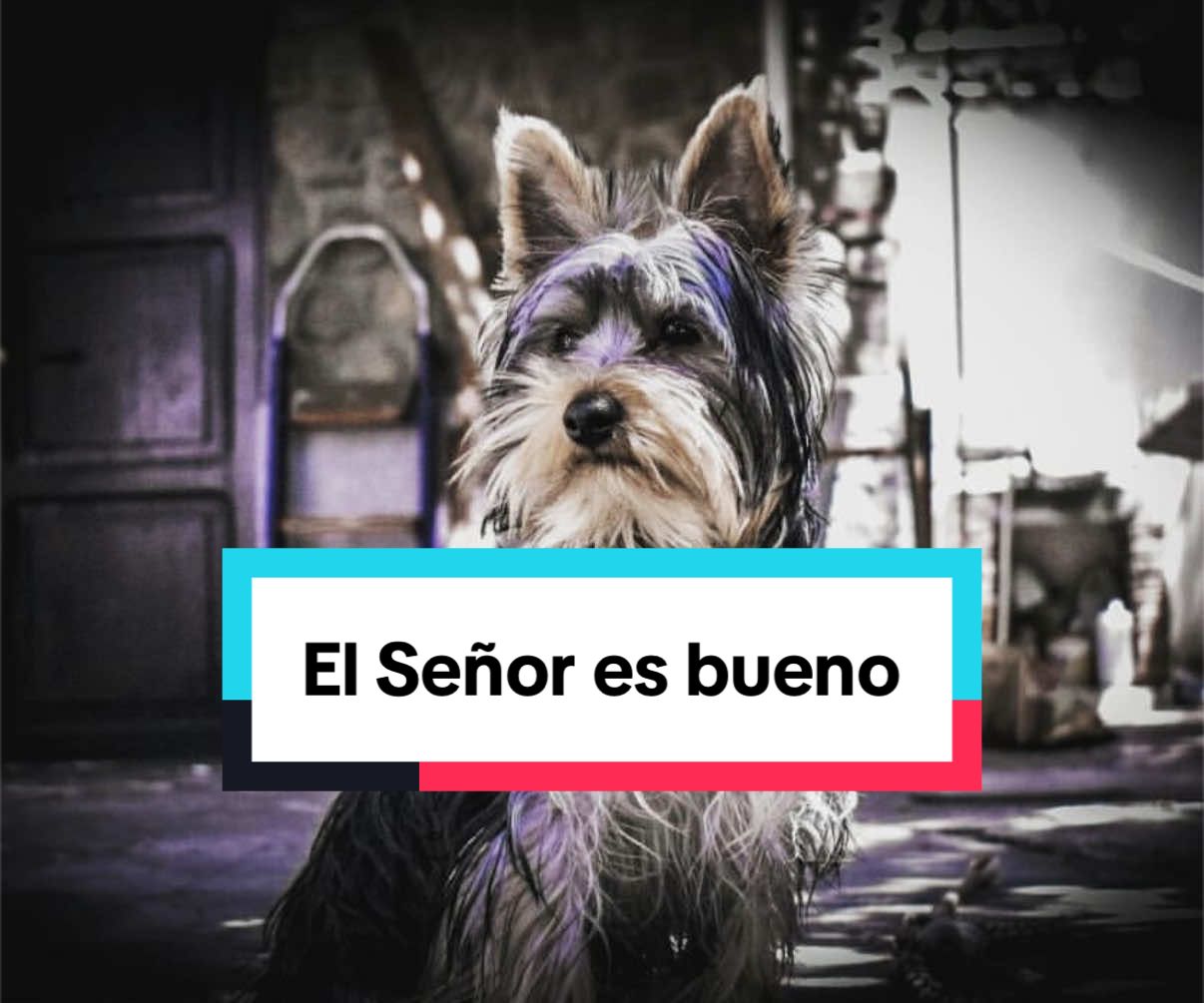 @Luis Fernando Claure