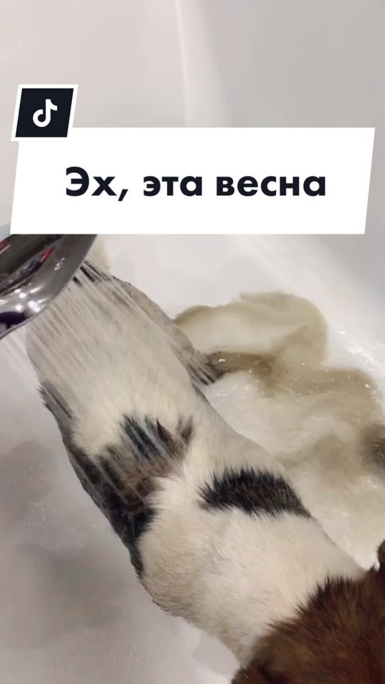 @user79579135880