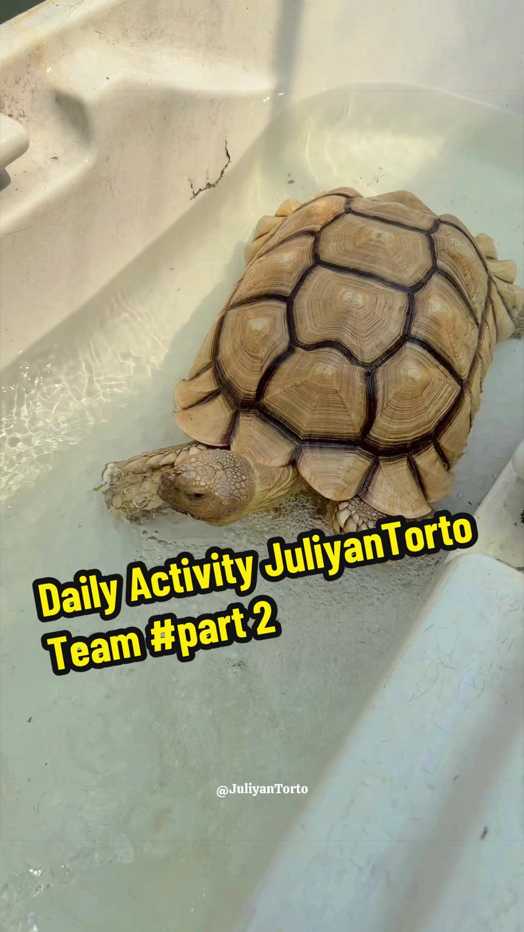 @JuliyanTorto