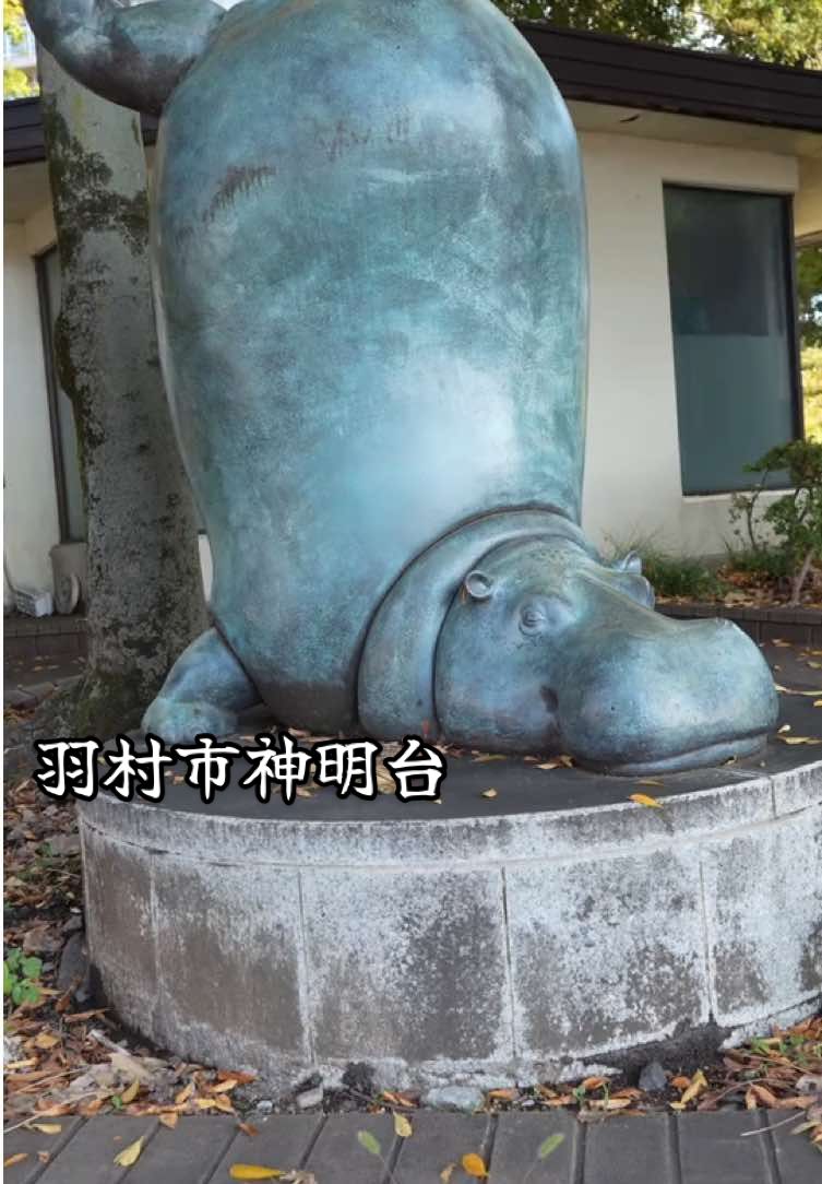 @カエルの日々