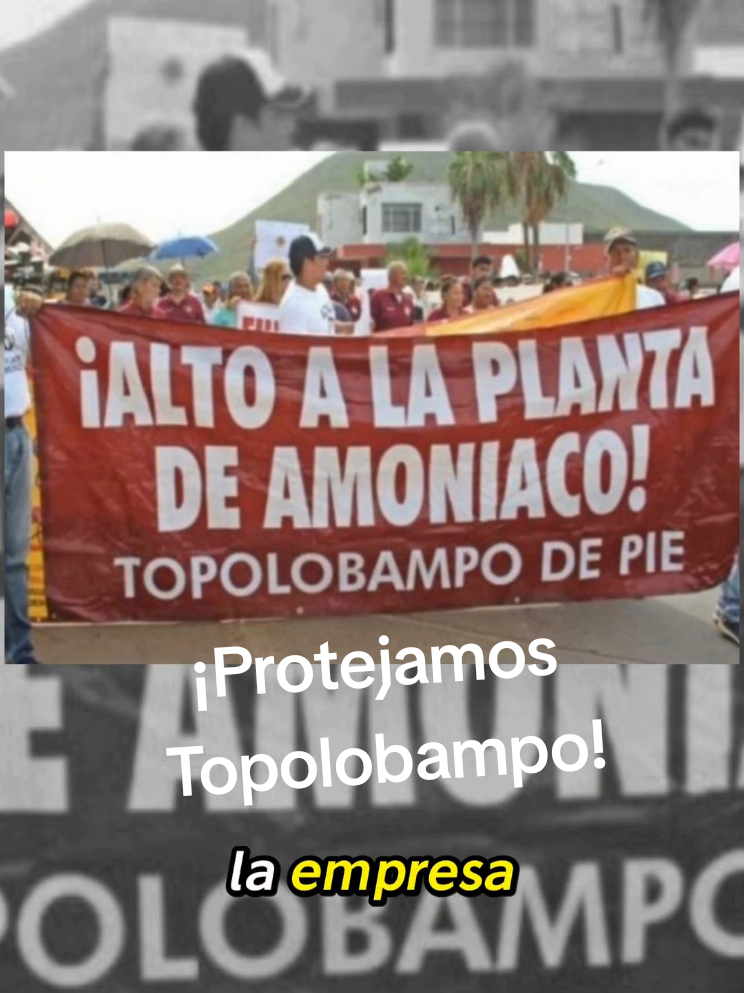 @Greenpeace México