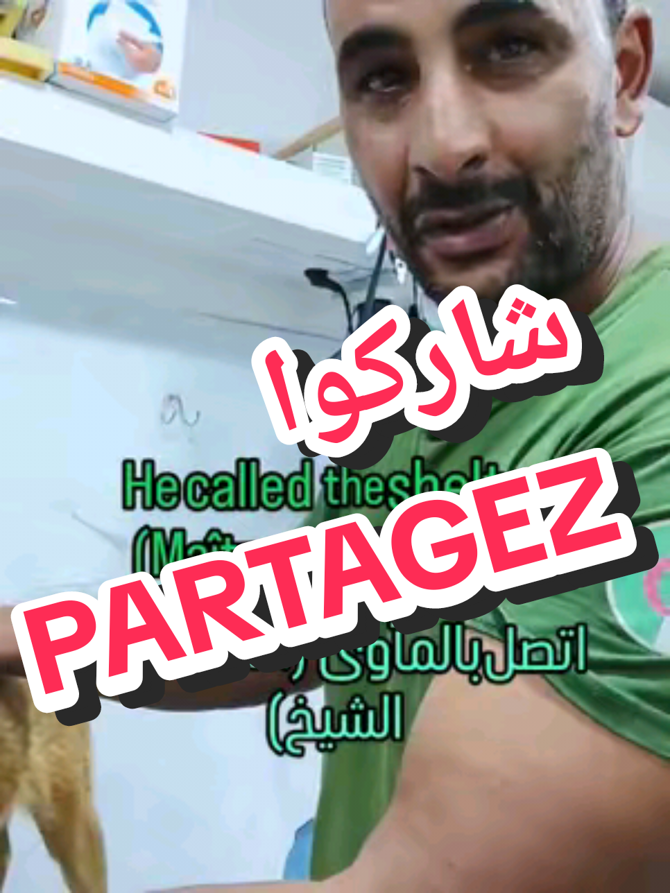 @Veterinaire Tizi-Ouzou