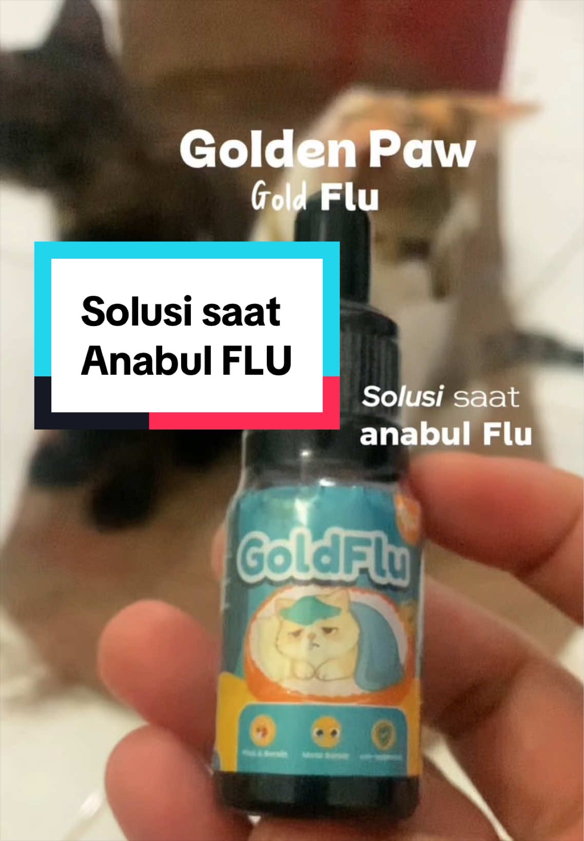 @bejaminsorui