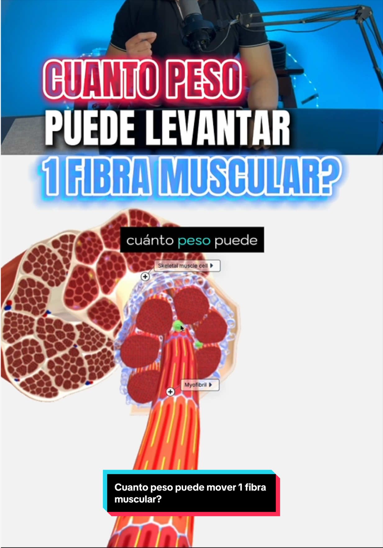 @Eduardo Varguez