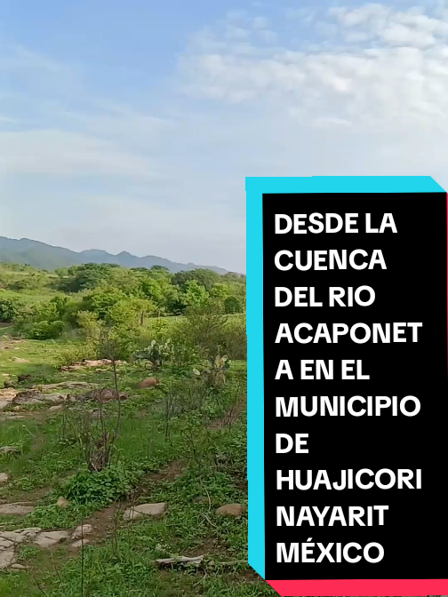@Eliseo L&oacute;pez